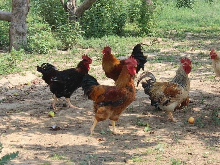 Foqe3FoBOM5NZZFoPI5KQfmJN8Fz.jpg Foqe3FoBOM5NZZFoPI5KQfmJN8Fz.jpg