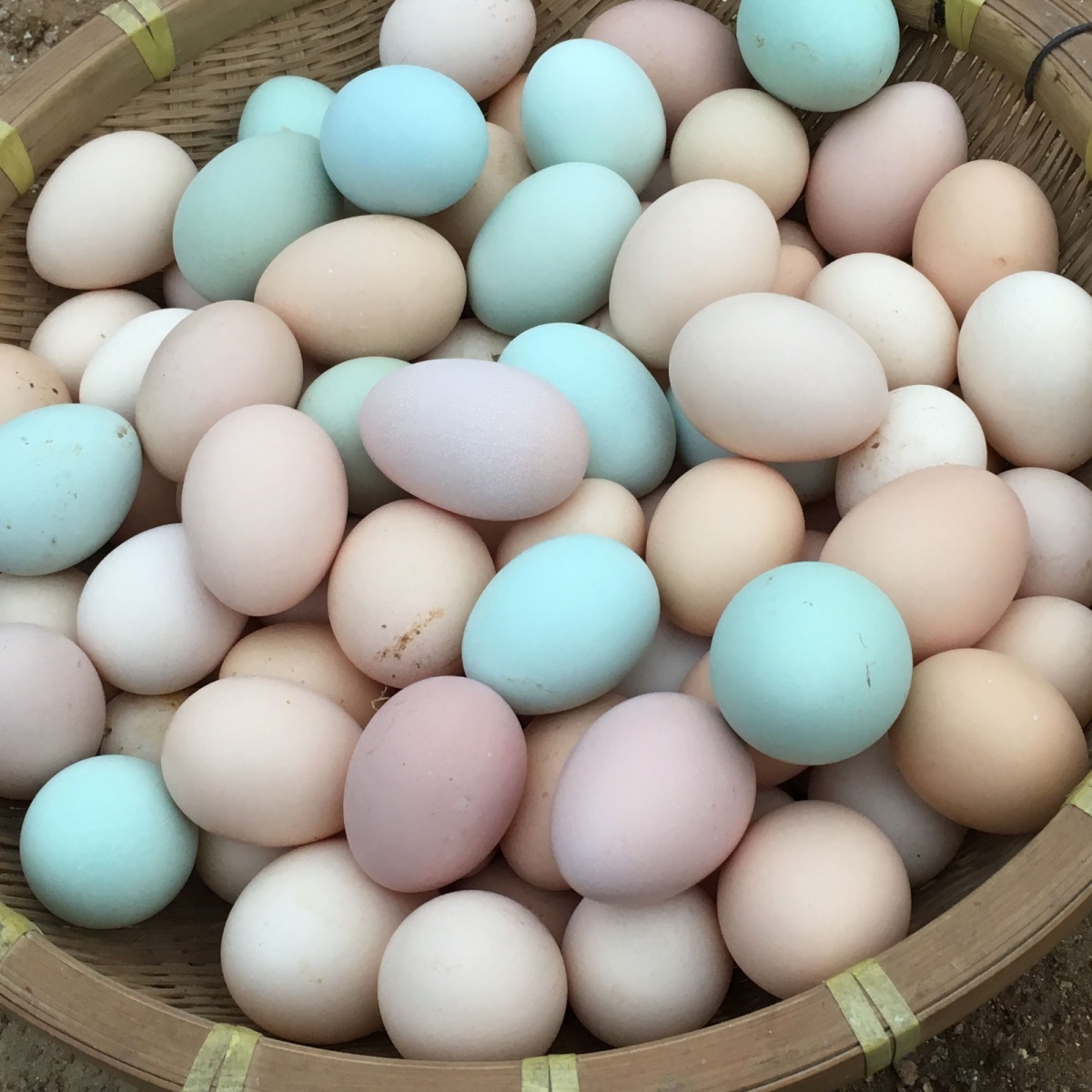 timg987.jpg timg987.jpg