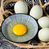 物本源绿皮土鸡蛋-40枚 商品缩略图1