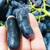 美人指，甜蜜蓝宝石黑提黑手指，超脆甜，满满的花青素，黑提抗氧化能力很强，无酸无涩，强烈推荐 商品缩略图3