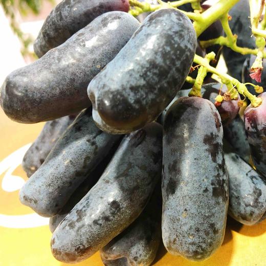 美人指，甜蜜蓝宝石黑提黑手指，超脆甜，满满的花青素，黑提抗氧化能力很强，无酸无涩，强烈推荐 商品图7