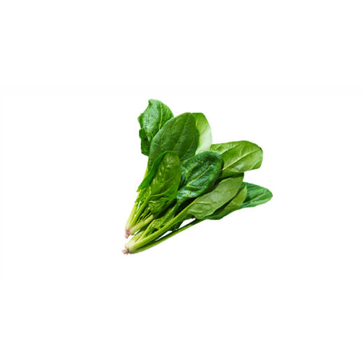 精品菜：菠菜750g 商品图1