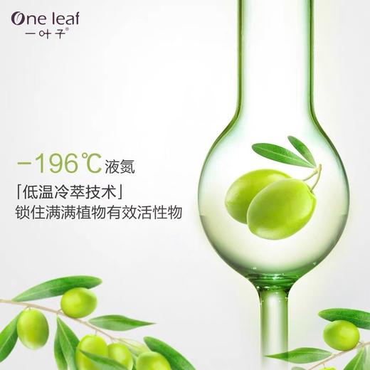 一叶子植物酵素橄榄芽鲜补水保湿五件套修复提亮肤色-4655 商品图3