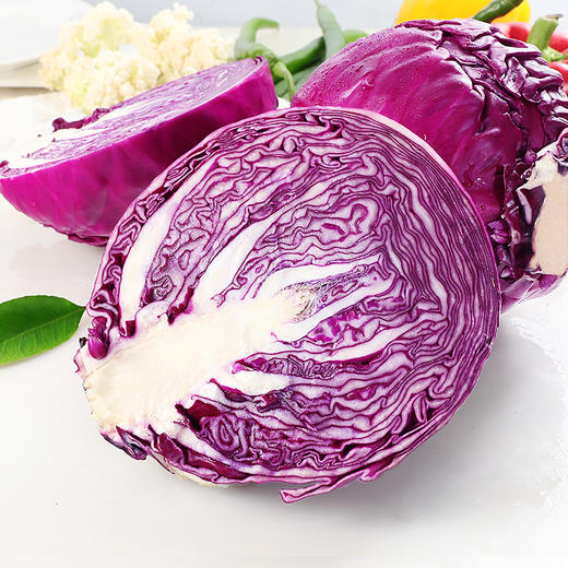 物本源有机紫甘蓝 商品图0