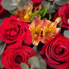 一生的爱     11枝卡罗拉红玫瑰搭配尤加利叶、橙色水仙百合（1672） 商品缩略图3