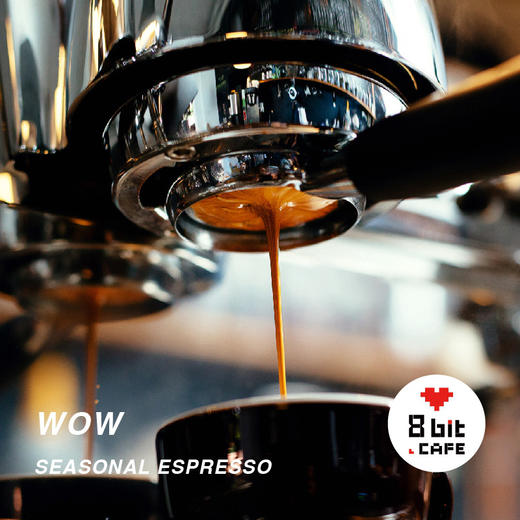 捌比特 澳洲季节拼配 WOW ESPRESSO 深烘焙 咖啡豆 500g 商品图6