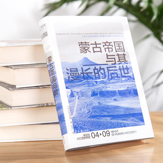 《讲谈社·兴亡的世界史》（9册），葛兆光、高晓松、白岩松、罗振宇力推，一部“有野心”的世界史 商品图3