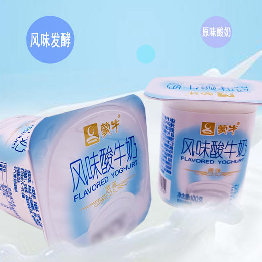 蒙牛益生菌原味100g*16杯/组 商品图2