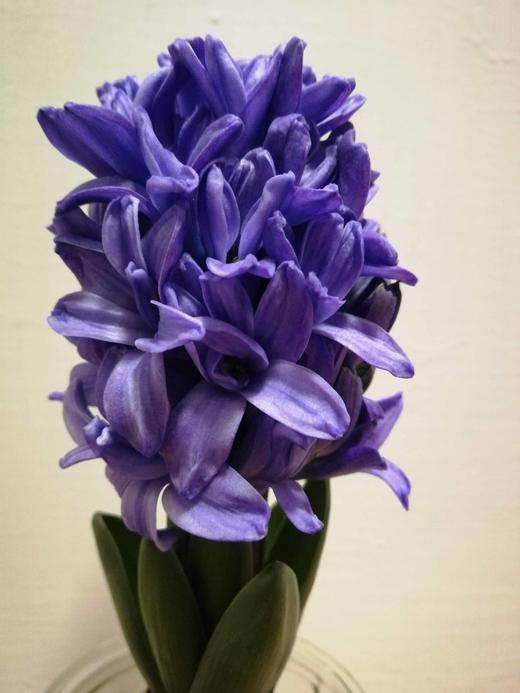 米线2斤装 商品图0