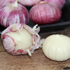 云南独头紫皮蒜   2斤装   （25个左右）精品果 商品缩略图6
