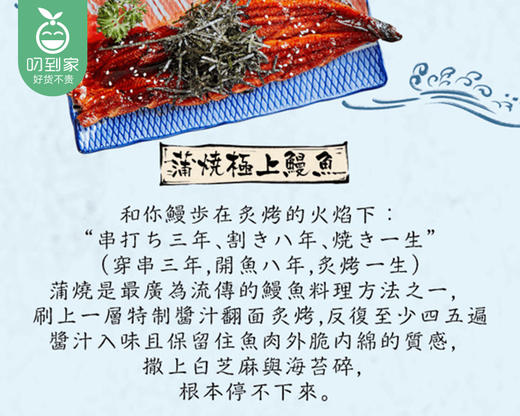 蒲烧鳗鱼/1盒（4-6条，共约1kg）生产日期：25年11月补单专用 商品图7