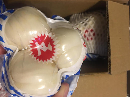 兰州百合 来自兰州的“蔬菜人参” （全国包邮） 商品图5