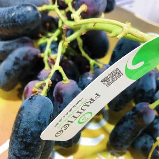 美人指，甜蜜蓝宝石黑提黑手指，超脆甜，满满的花青素，黑提抗氧化能力很强，无酸无涩，强烈推荐 商品图6