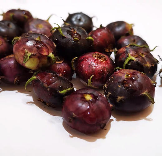 高原红果参(土人参),补气血,花青素高!疏肝润肺!降血脂降胆固醇!