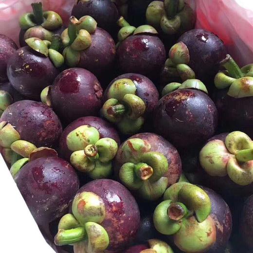 【山竹 】清凉降火 肉嫩润滑 白嫩多汁 果味浓郁 清甜味美 回味无穷 商品图2