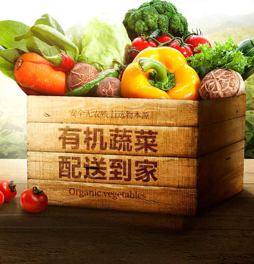 有机蔬菜宅配6斤 商品图0