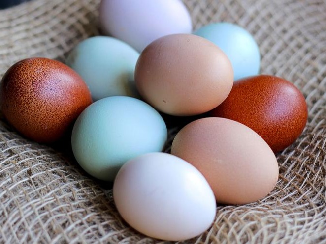 布袋中新鲜的有机鸡蛋