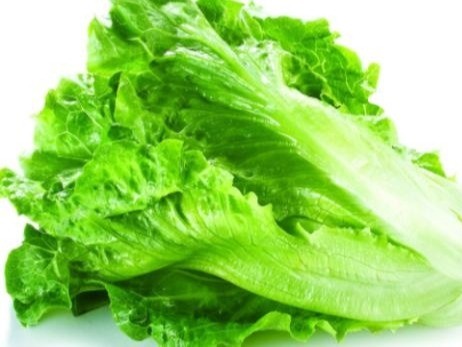 u=3299405598,2674171438&fm=26&gp=0.jpg u=3299405598,2674171438&fm=26&gp=0.jpg