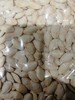 南瓜子（散称干果组） 商品缩略图0