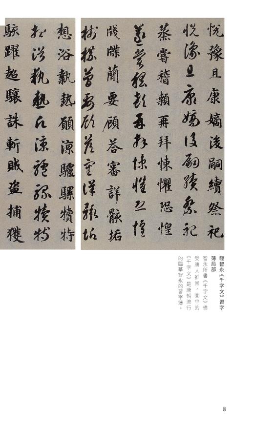 【中商原版】千字文 港台原版 商务印书馆编辑出版部 香港商务印书馆 名家大手笔经典新阅读 商品图7