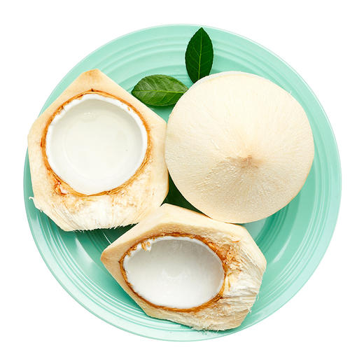 青椰子 商品图2