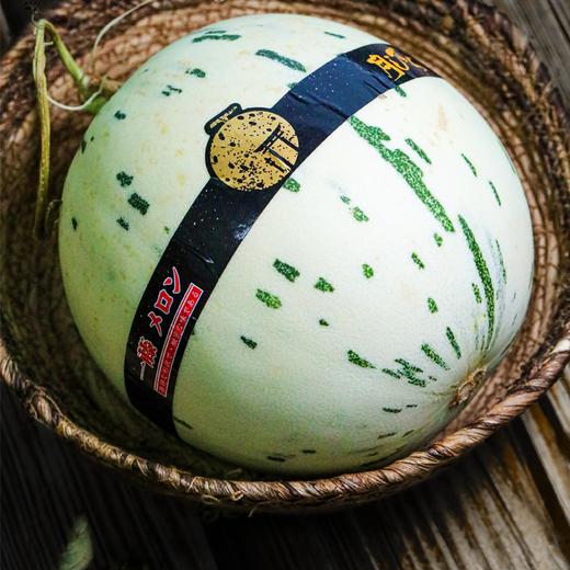 【限时秒杀】【月露蜜瓜】一藤一瓜 香气浓郁 果肉香甜水嫩 甜度怡人