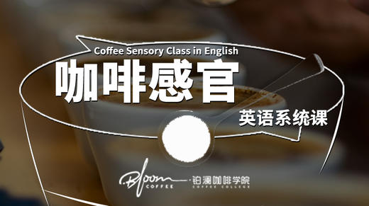 咖啡感官英语系统视频课第七堂课 商品图0