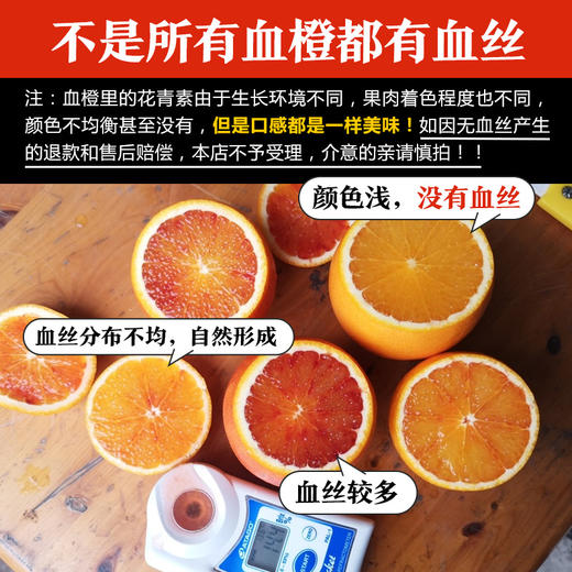 【玫瑰血橙】四川塔罗科血橙  酸甜可口 果实饱满 肉嫩多汁 商品图5