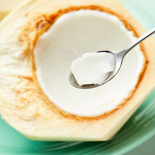 青椰子 商品图1