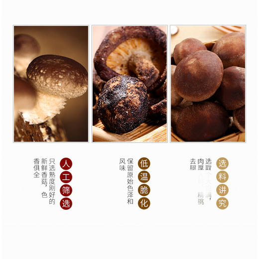(散)百年树香菇脆（AA） 商品图5