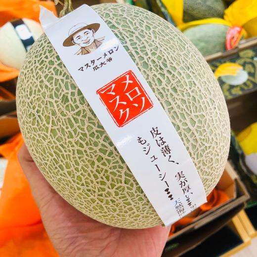 瓜大爷网纹瓜258元1颗