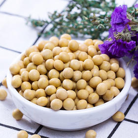 【寒地黑土】东北有机黄豆800g 可打豆浆 发豆芽 大豆 东北 五谷 杂粮 大米伴侣