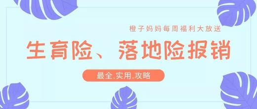 海南生育险、落地险报销全攻略，不收藏准后悔，做称职父母从这里开始！ 商品图0