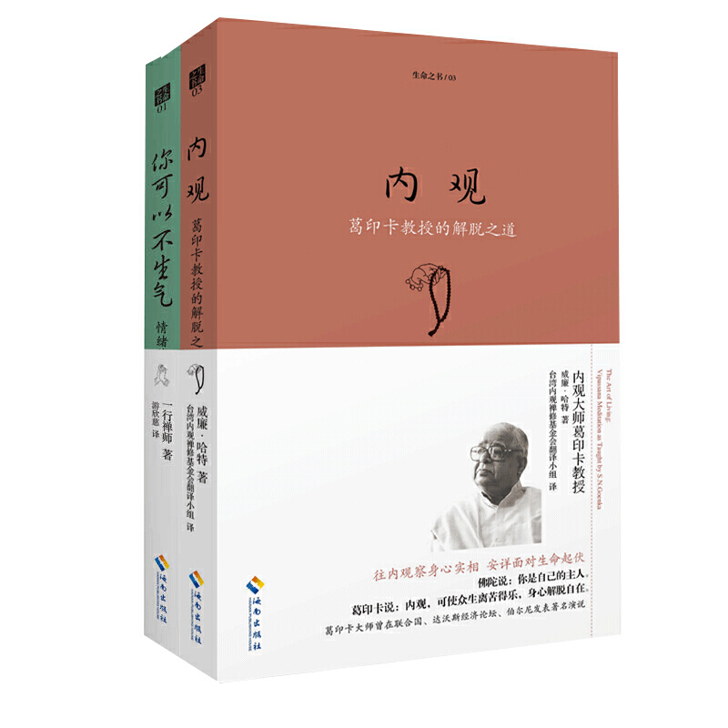 内观的力量（两册套装:内观+你可以不生气）