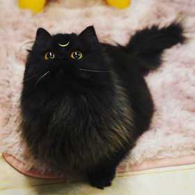 小明的券后价商品 勿动