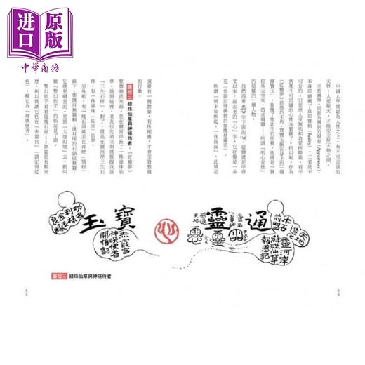 【中商原版】红楼梦幻 《红楼梦》的神话结构 港台原版 白先勇 奚淞 联合文学 中国古典文学 商品图3