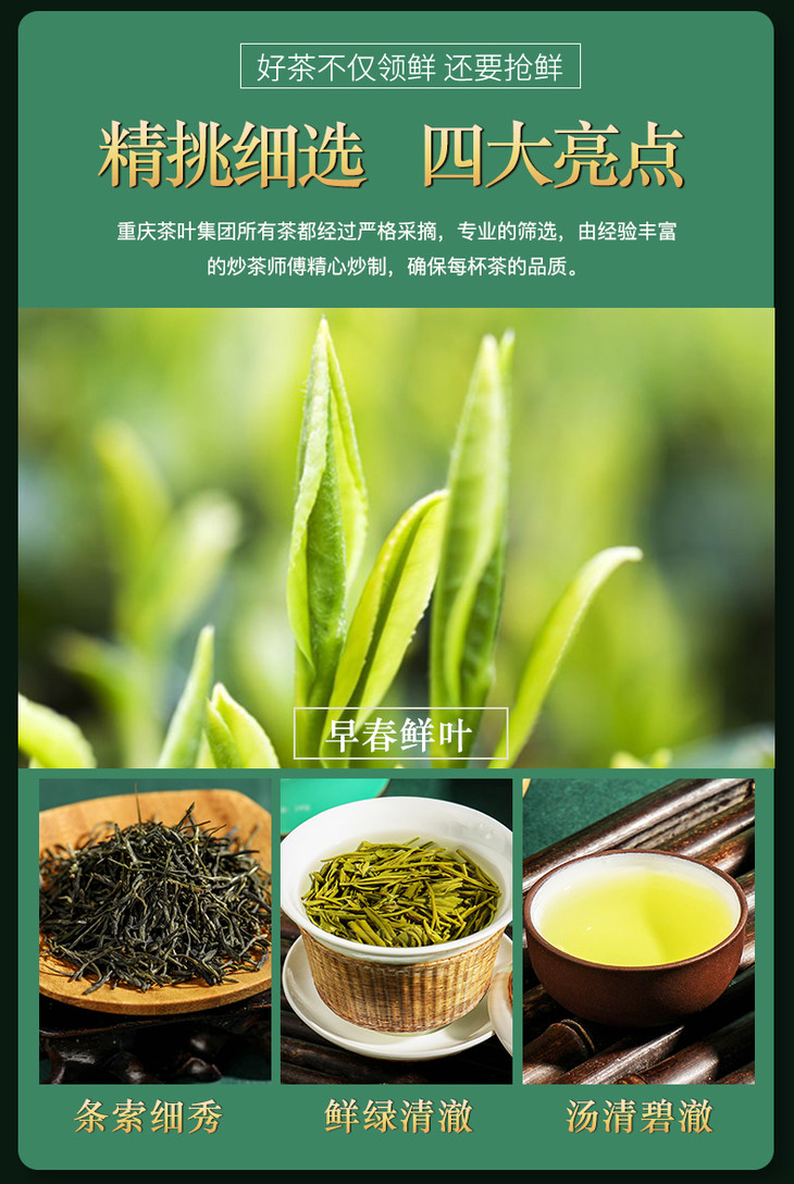 重庆茶业2021永川秀芽100g特产毛峰类茶炒青新茶嫩芽绿茶叶