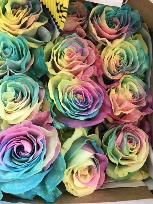 厄瓜多尔进口玫瑰染色多品种可选10支扎