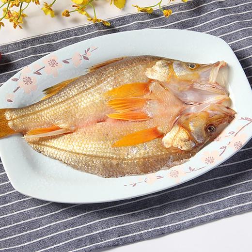 【渔乐深态】 开背秘制入味南美黄金鲈鱼400g 免杀 免冲洗 直接蒸着吃