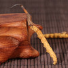 【冬虫夏草】正宗西藏那曲野生虫草 商品缩略图2