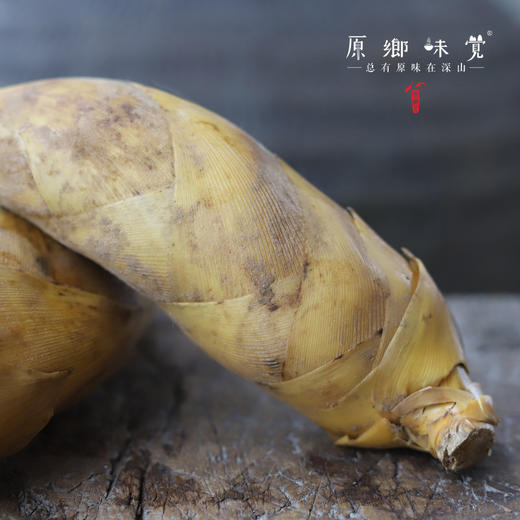 黄山野生冬笋（基地直发-顺丰包邮）|3斤、5斤装，来自安徽黄山，采集者：许学超【合作生产，公平贸易】 商品图7