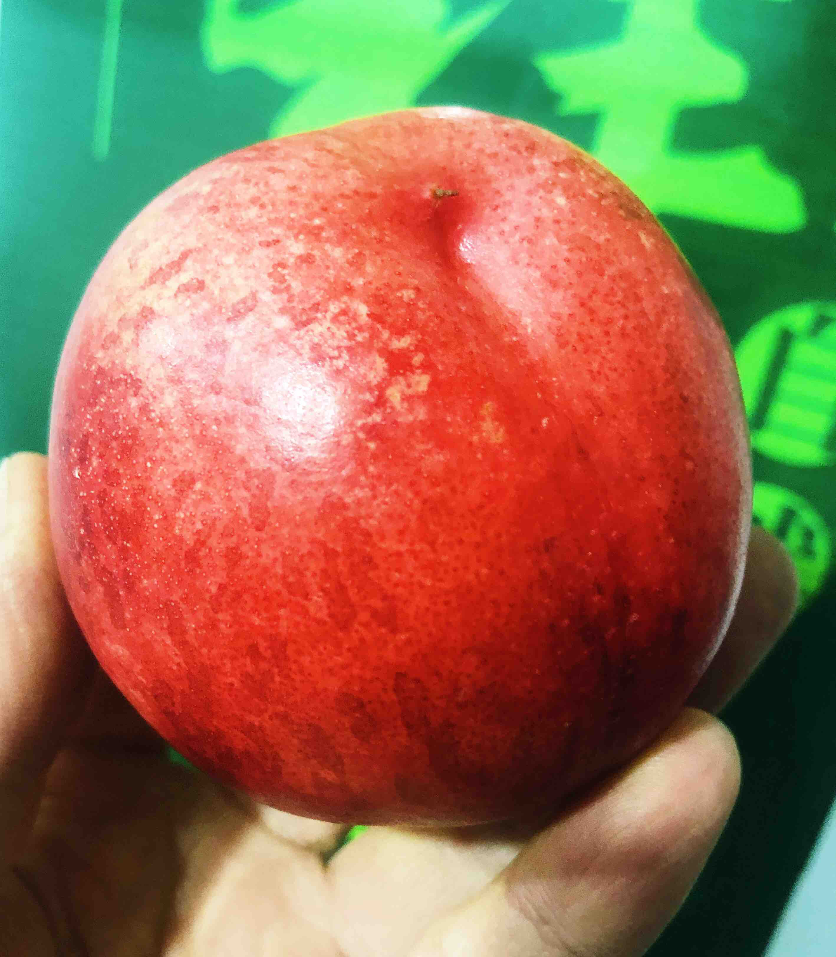 超大果单果澳洲油桃到货12只礼盒装新鲜货果肉雪白细腻无渣吃口脆口感