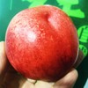超大果南非油桃到货！超甜新鲜货，果肉橙黄，细腻无渣！吃口脆、口感好、颜色鲜艳欢迎品尝 商品缩略图5