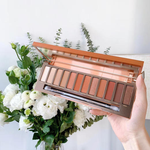 美国Naked UrbanDecay衰败城市12色眼影Heat 南瓜眼影盘 商品图1