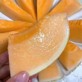 蜜瓜
