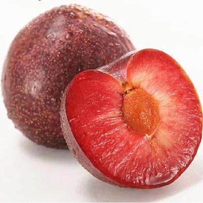 爆甜【血丝李】25元2斤