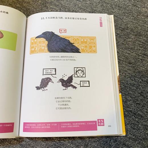漫画科普:比知识有趣的冷知识 商品图2