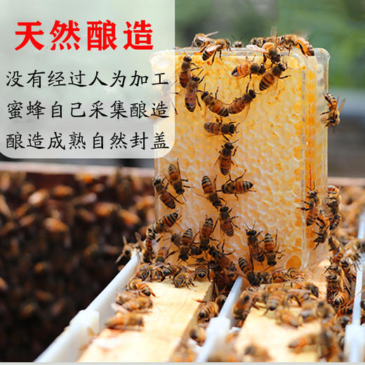 嚼着吃的蜂巢蜜，一口咬下去，蜜汁流淌在嘴里，花香四溢，回味无穷 商品图3