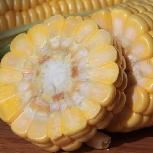 海南水果玉米行情图片