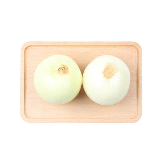 【城·食配】白洋葱 约1.5斤/份 商品图3